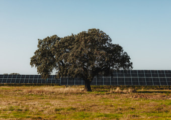 Mountains and fjord. (Photo: Lars Petter Pettersen)